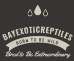 Buy Exotic Reptiles